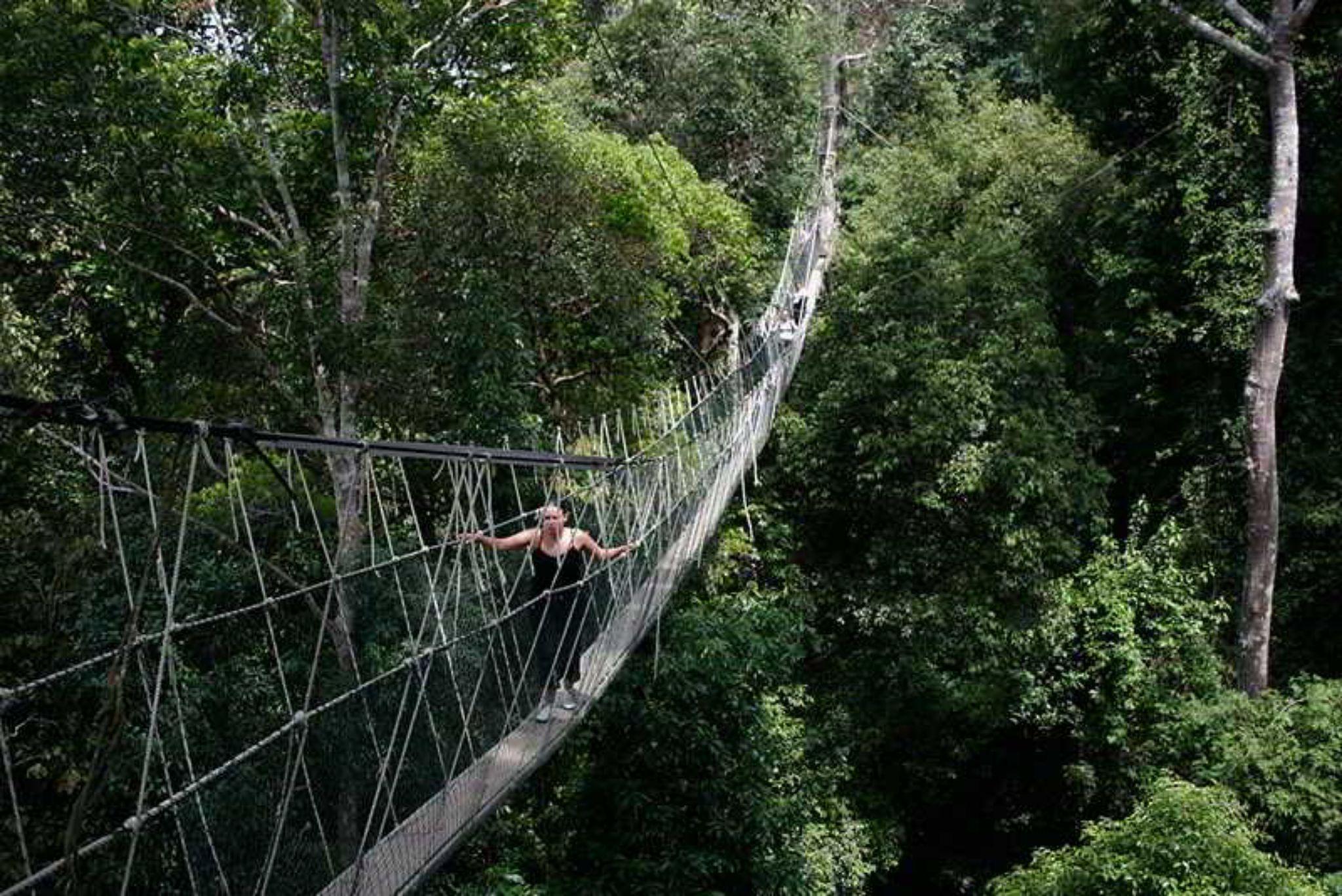 Mutiara Taman Negara Hotell Kuala Tahan Eksteriør bilde