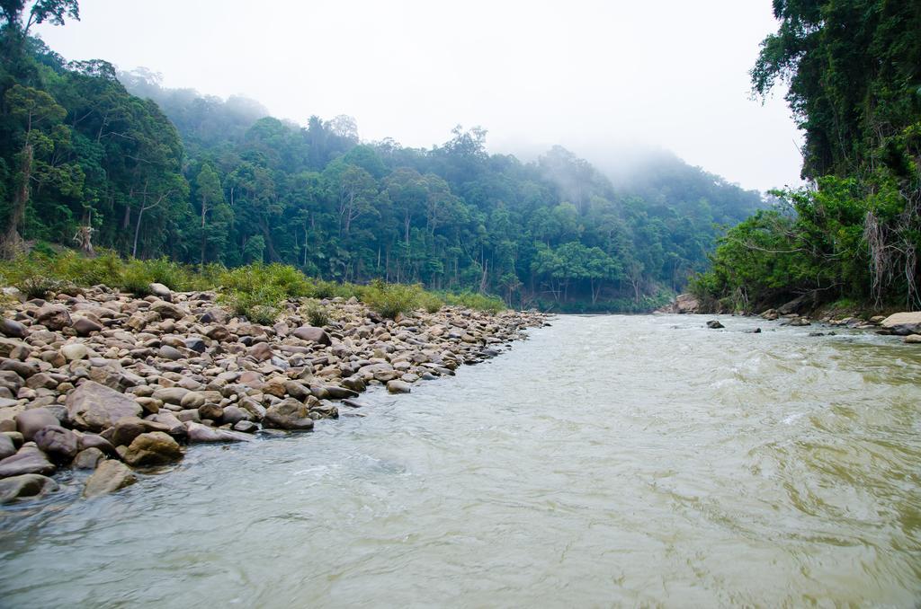 Mutiara Taman Negara Hotell Kuala Tahan Eksteriør bilde