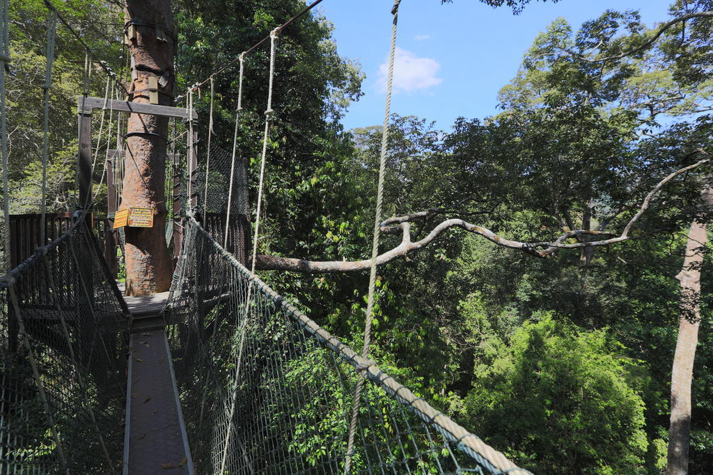 Mutiara Taman Negara Hotell Kuala Tahan Eksteriør bilde
